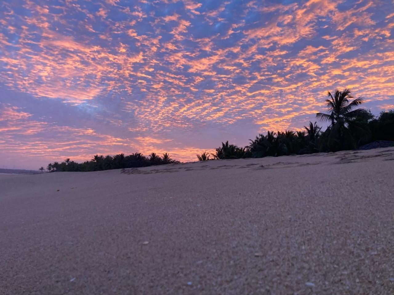 Neem Jay Beach Resort Tangalle Ngoại thất bức ảnh